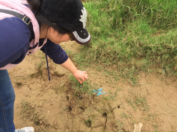 ca88手机客户端(安卓/苹果)CA88会员登录入口