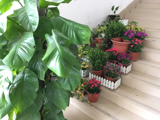 ca88手机客户端(安卓/苹果)CA88会员登录入口