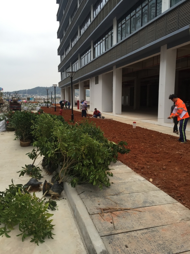 ca88手机客户端(安卓/苹果)CA88会员登录入口