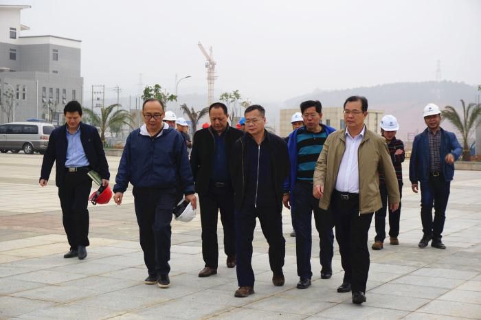 5.吴锡熹一行在项目完工区举行实地观察。。。。谢微旋 摄700.jpg