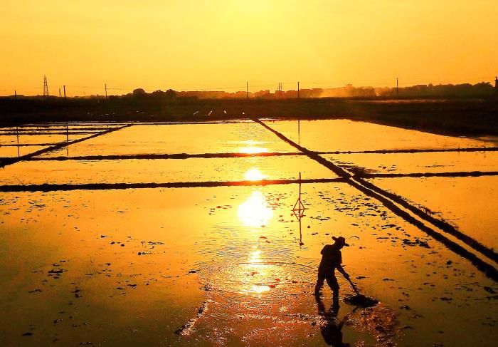 5摄影作品《耕作》获三等奖。。。。。。韦荣伟 摄-13768307144700.jpg